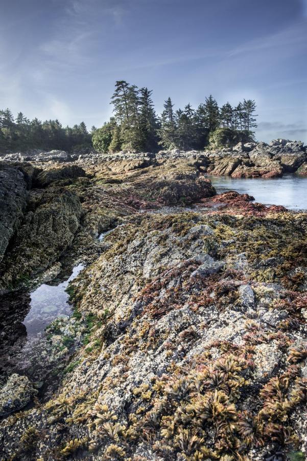 Wild Pacific Guest Suites Ucluelet Exterior photo